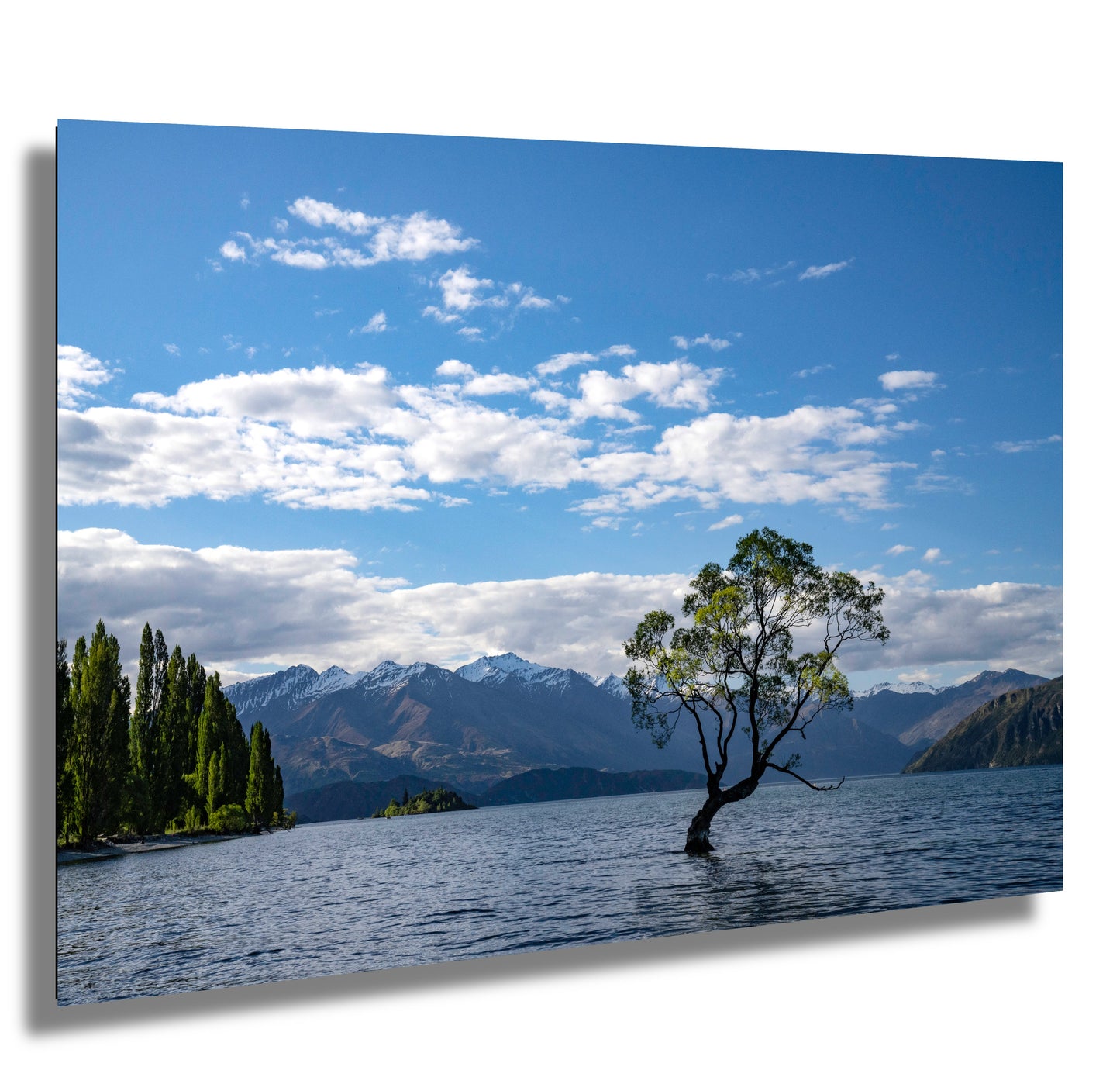 New Zealand Spring