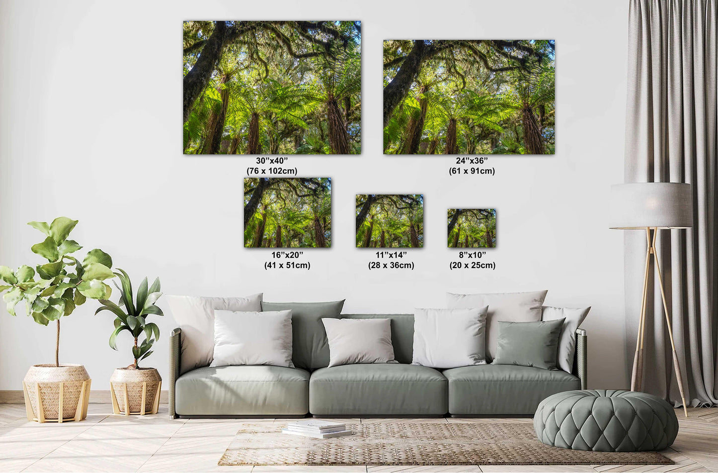 Fern Forest South Island New Zealand