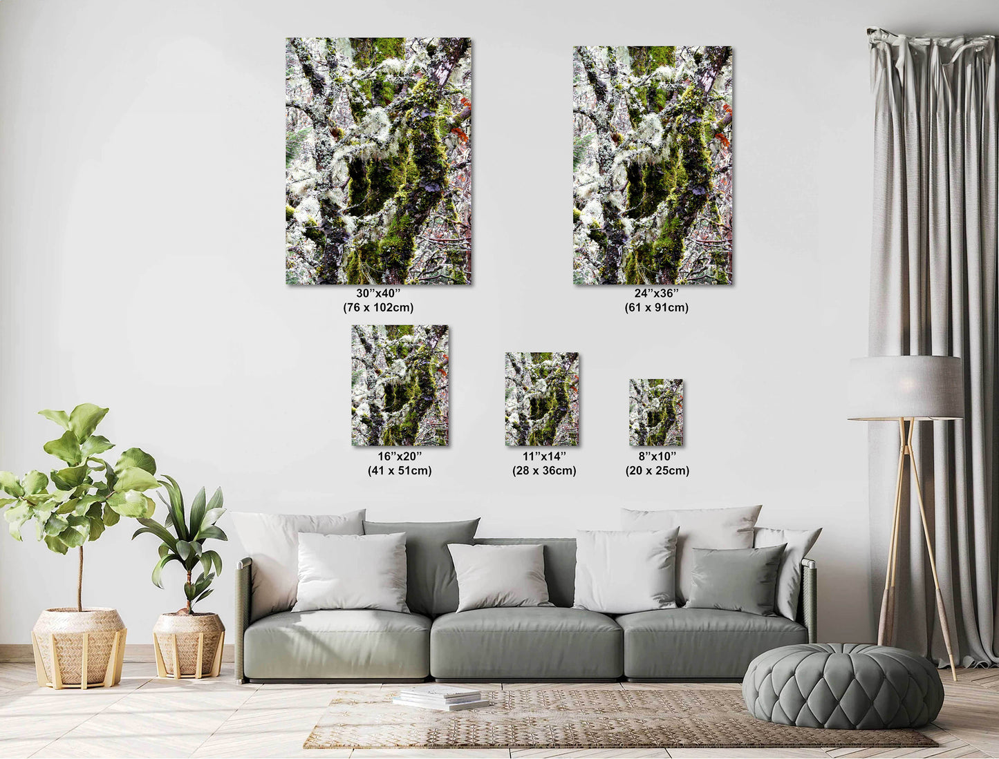 Winter Moss