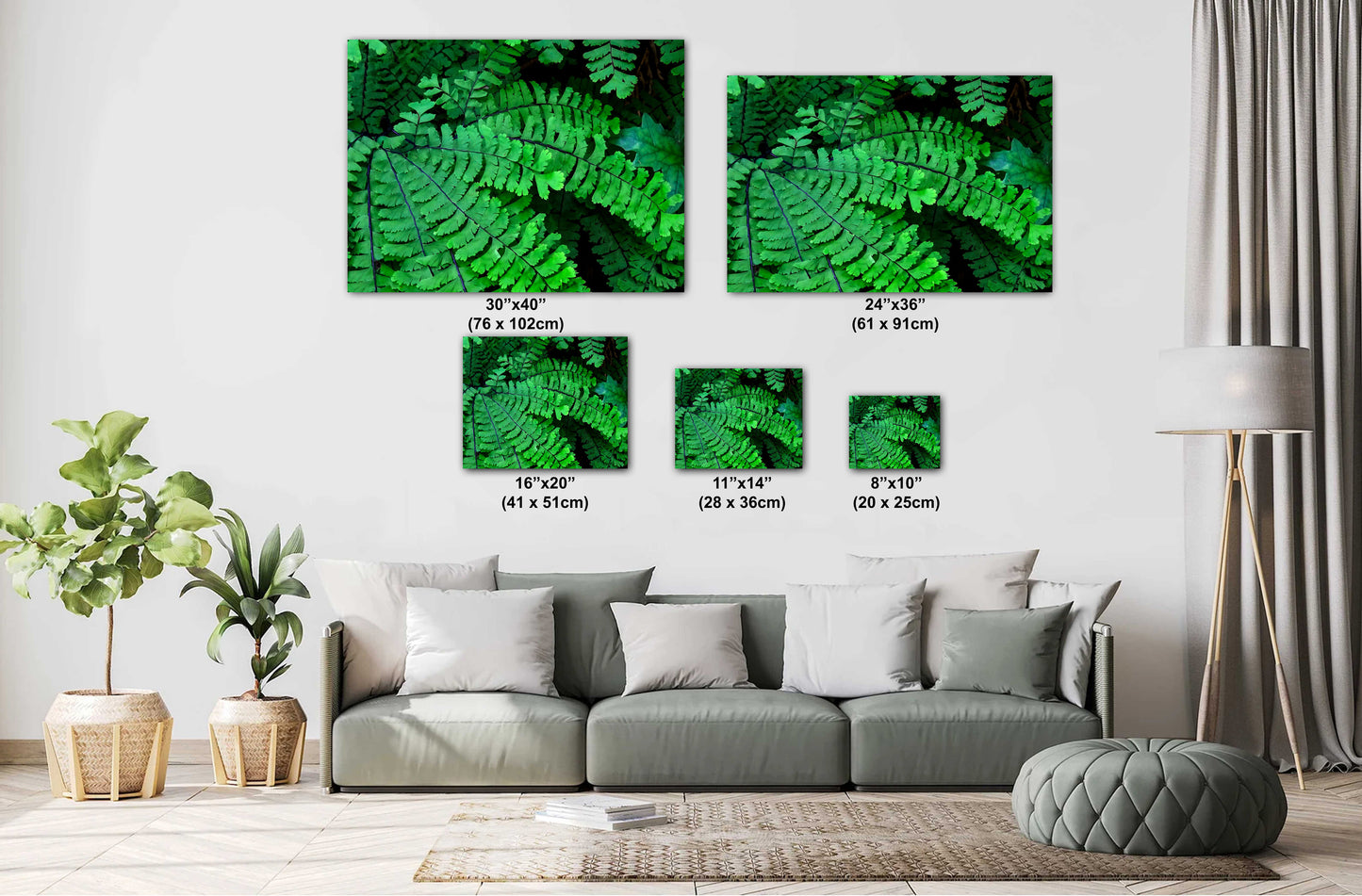 Spring Ferns