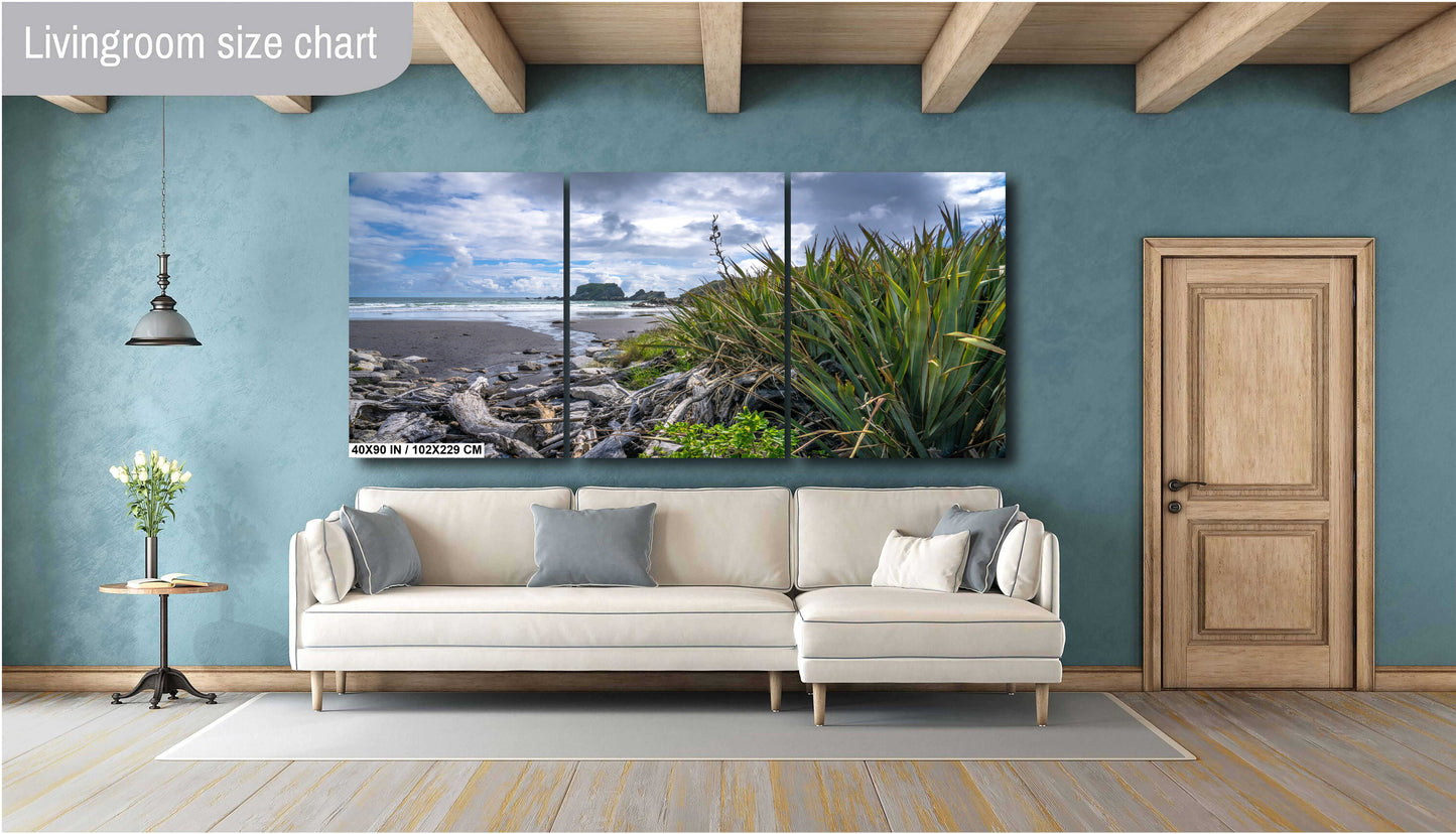 South Island Beach New Zealand
