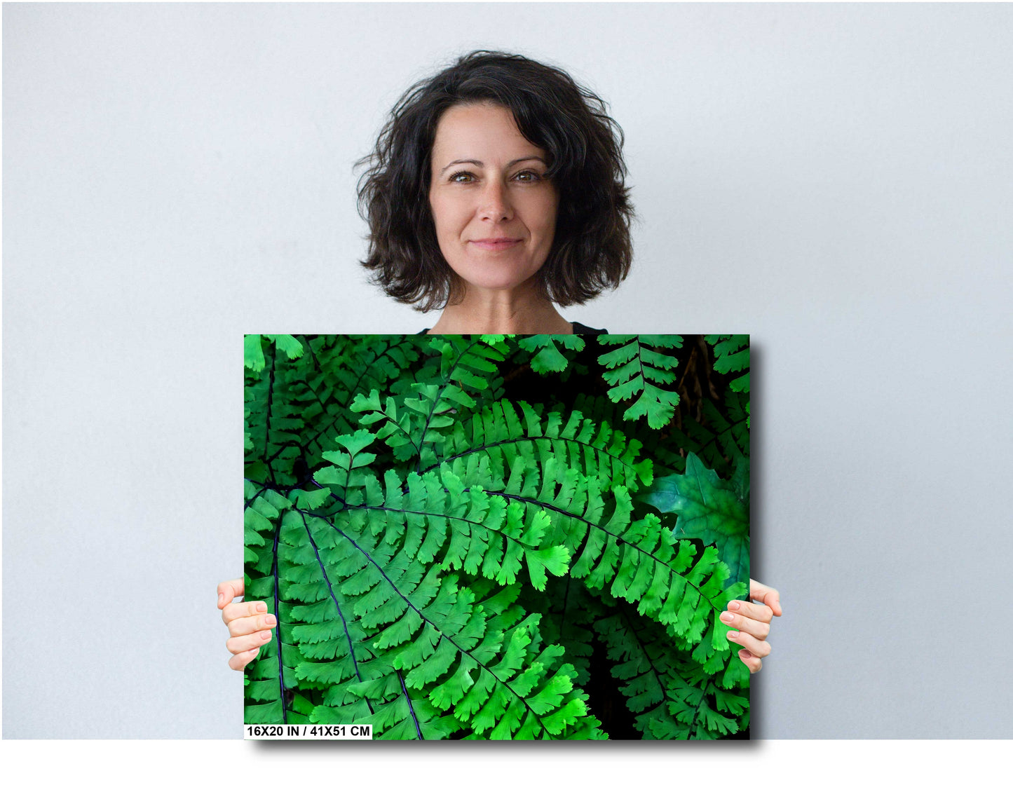 Spring Ferns