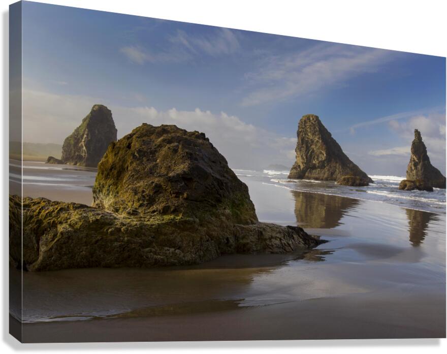 2263595 :: Giclée Stretched Canvas Print