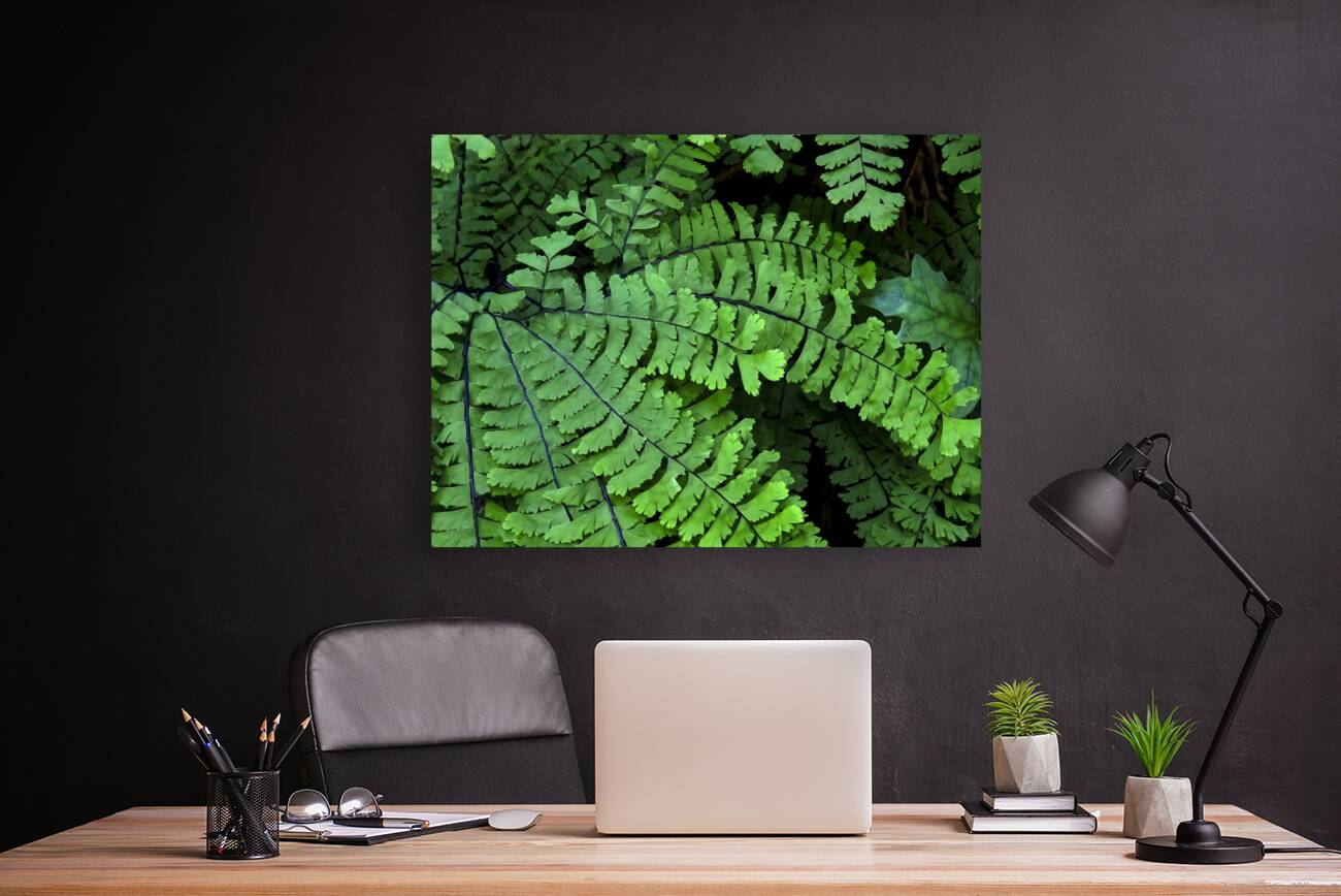 2263608 :: Giclée Stretched Canvas Print