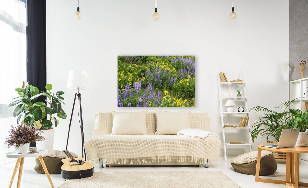 2267960 :: Giclée Stretched Canvas Print