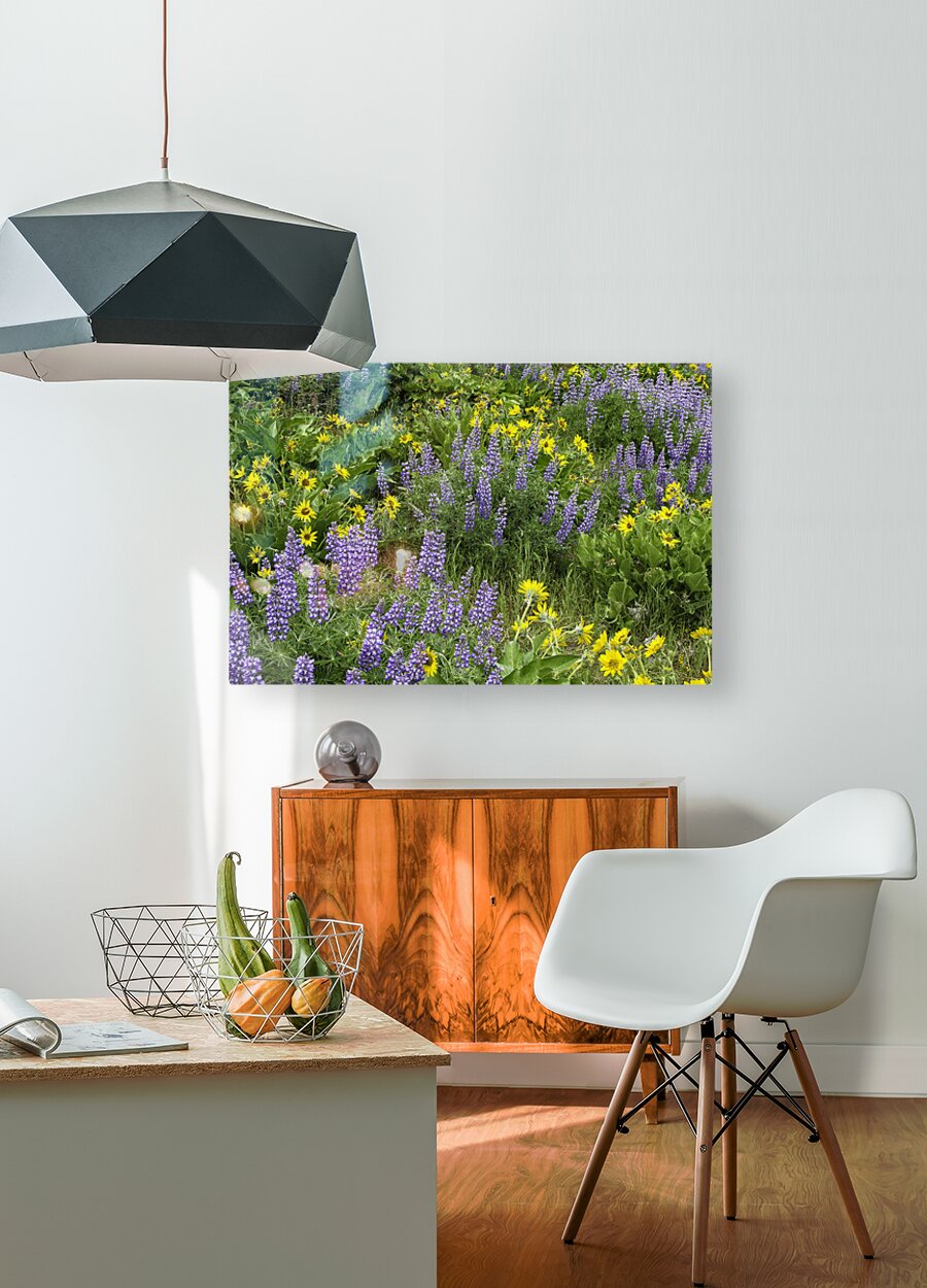 2267960 :: HD Sublimation Metal Print