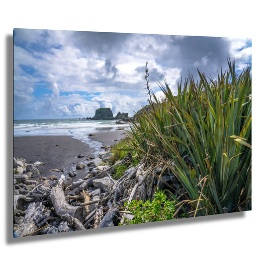 South Island Beach New Zealand