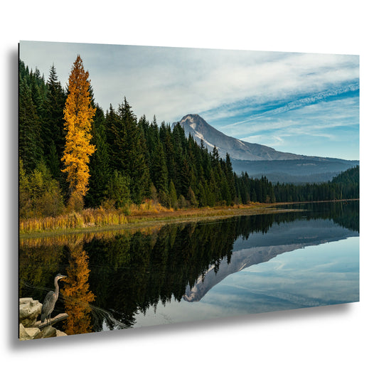 Fall- Pacific Northwest