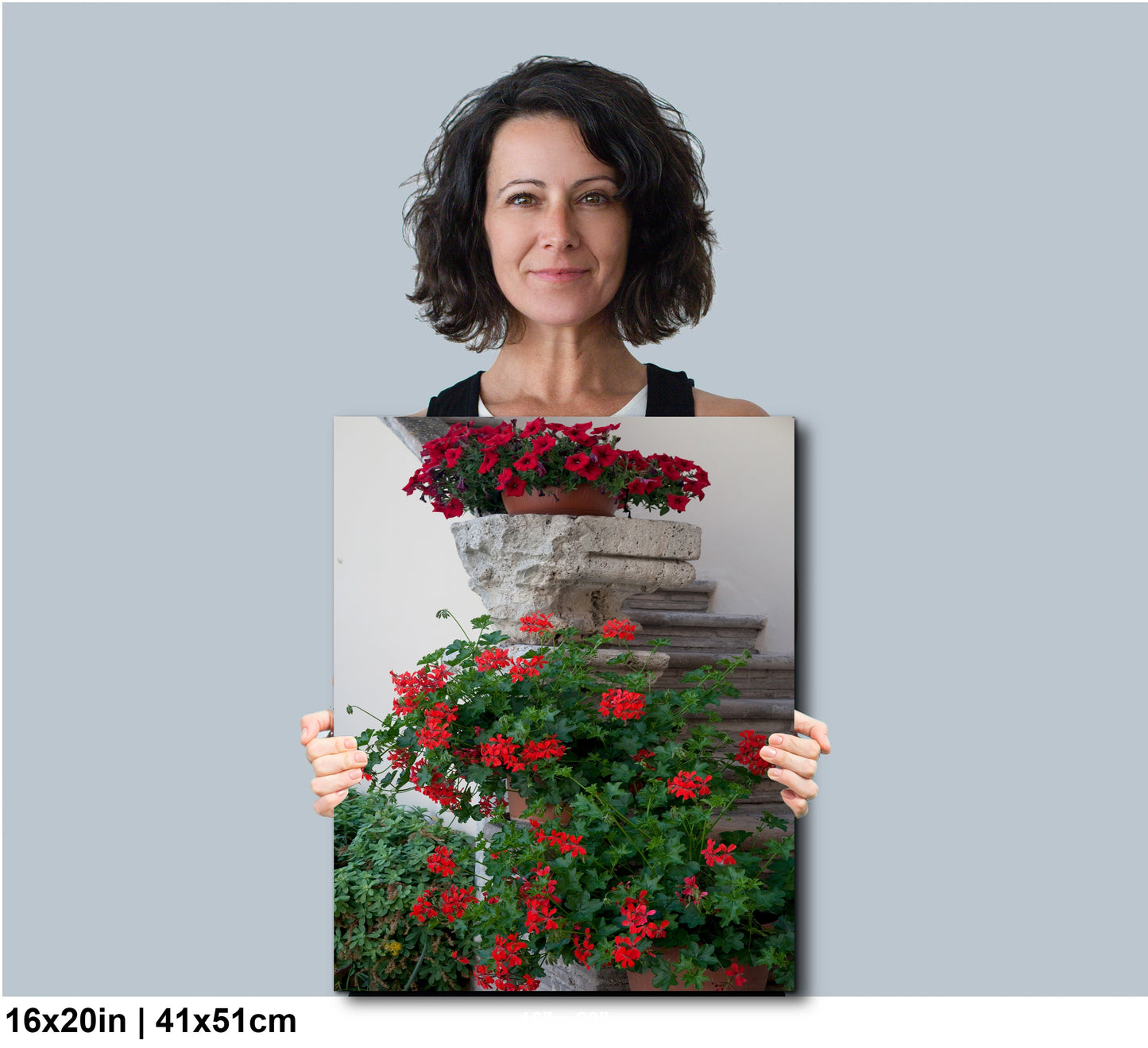 Italy- Begonias