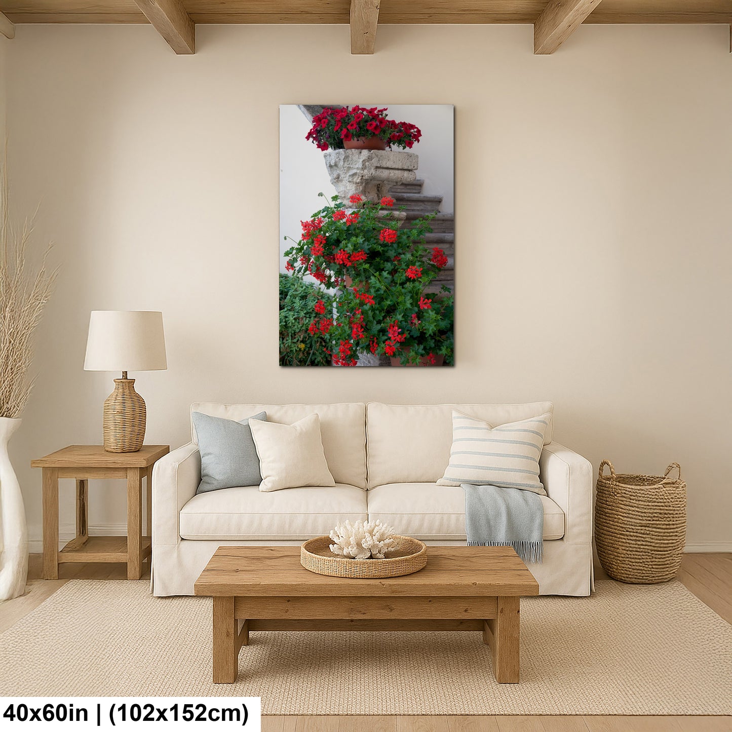 Italy- Begonias