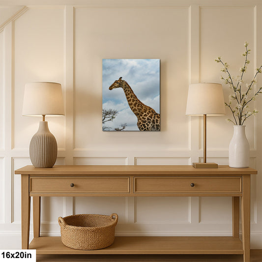 South Africa- Giraffe Welcome