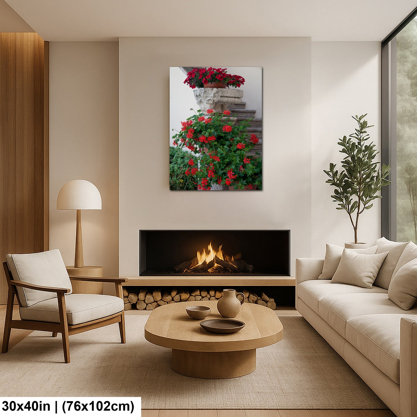 Italy- Begonias