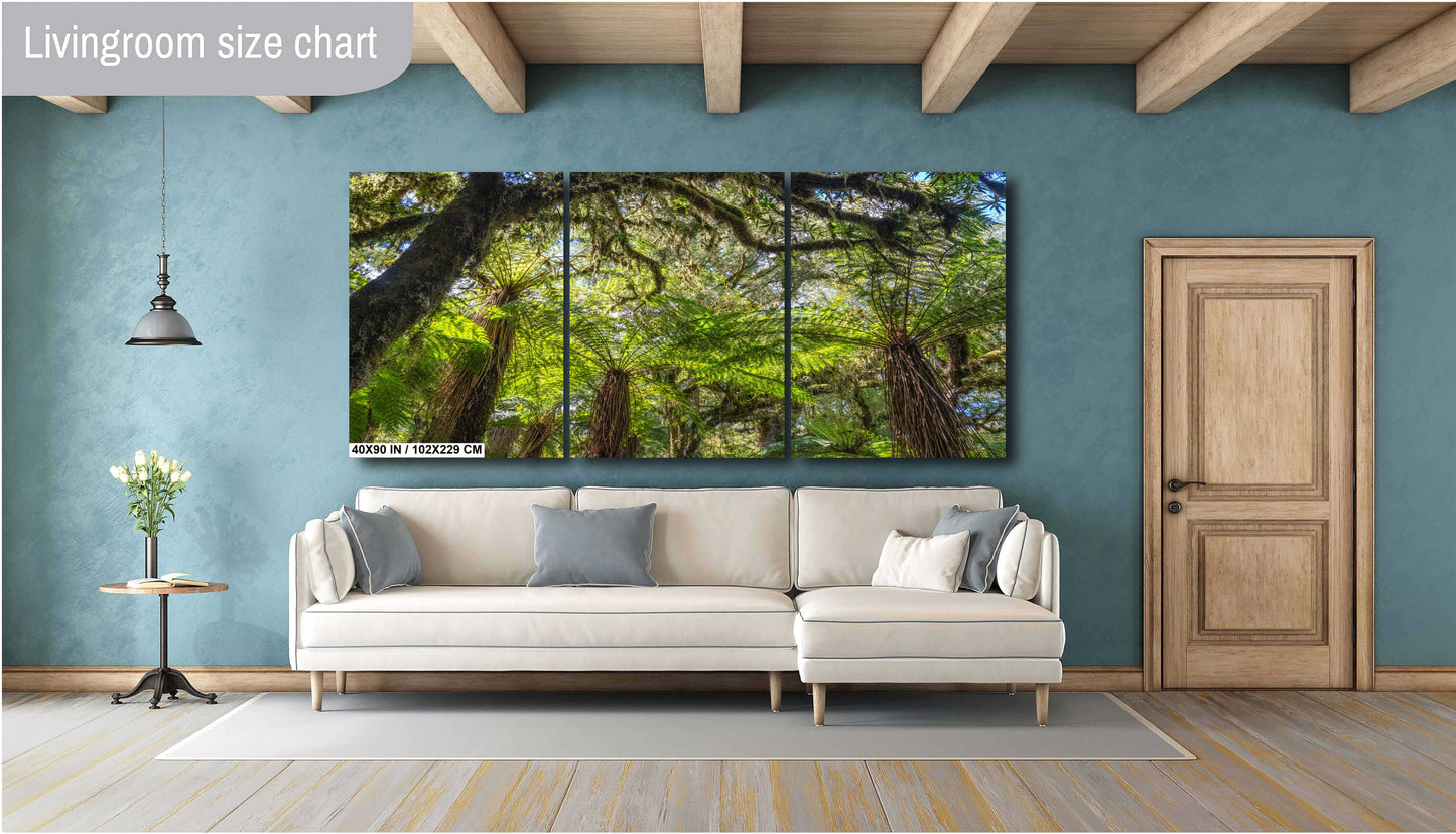 Fern Forest South Island New Zealand