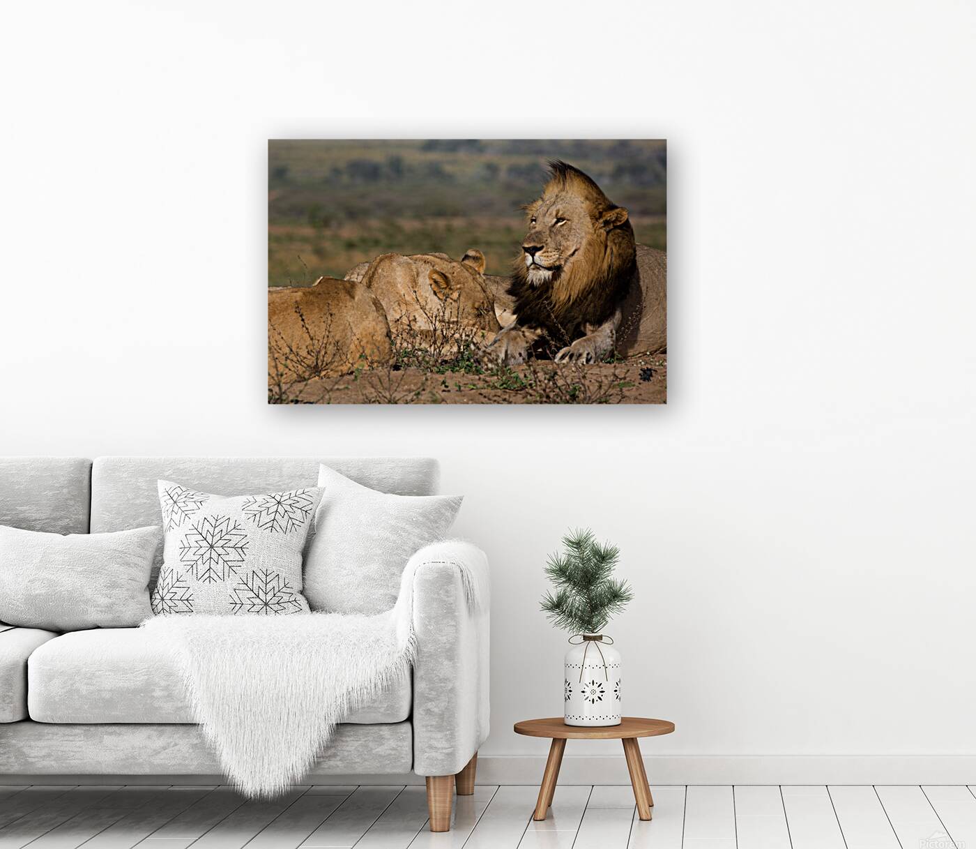 2541349 :: Giclée Stretched Canvas Print